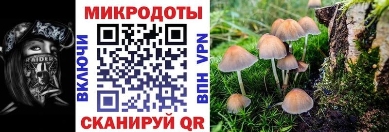 Галлюциногенные грибы мицелий  Купить где  Губкинский 